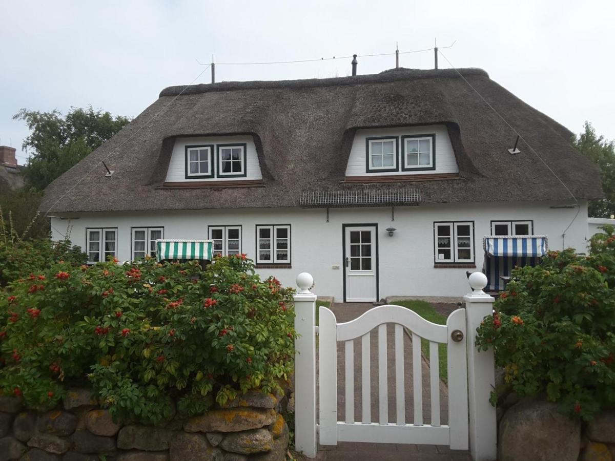 Seepferdchen Nebel Exterior photo